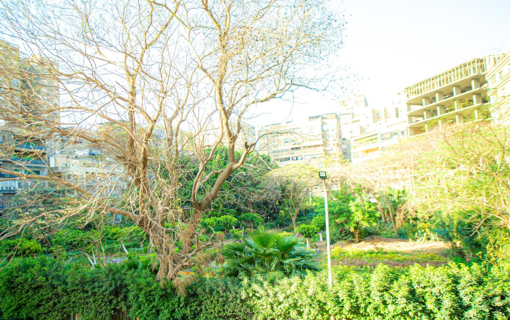 אפרטהוטל Giza Elegance Tower מראה חיצוני תמונה